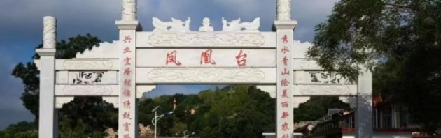 青州市王府街道凤山村：党建**奔小康，凤凰台上共富裕
