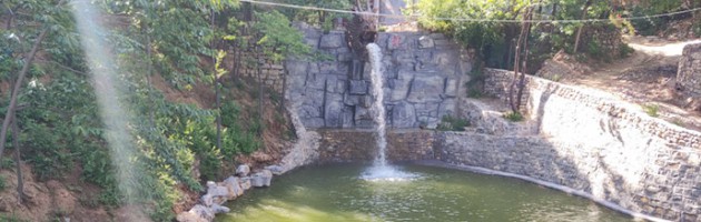 龙泉