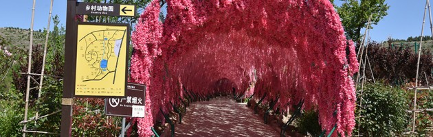 花廊