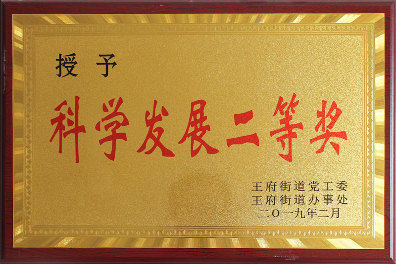 科学发展二等奖